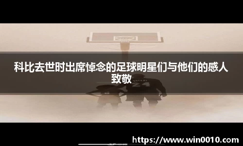 678体育平台